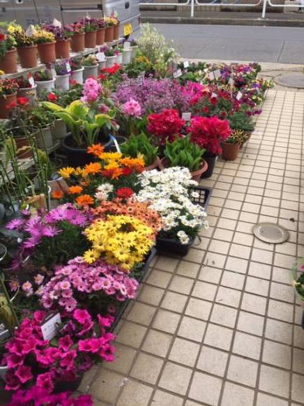「和光園」　（東京都江戸川区）の花屋店舗写真2
